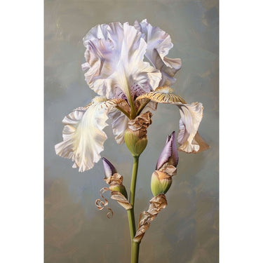Iris Oil canvas